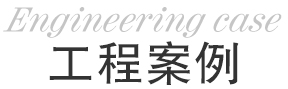 成功案例